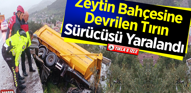 zeytin bahçesine devrilen tırın sürücüsü yaralandı