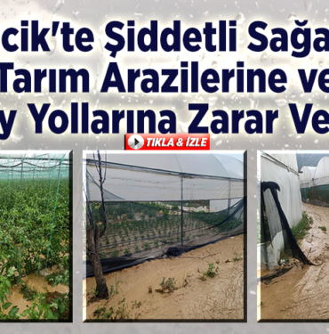 Bilecik'te şiddetli sağanak tarım arazilerine ve köy yollarına zarar verdi