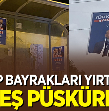 CHP