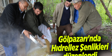 GÖLPAARI