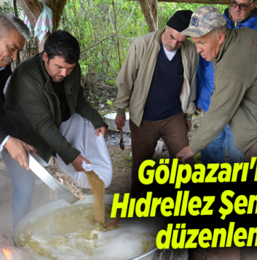 GÖLPAARI