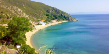 avşa4