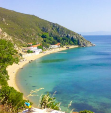 avşa4