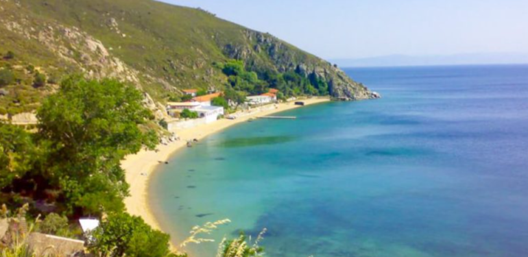 Avşa Burada Sitesi ile Avşa Konaklama Hizmetlerini Keşfedin
