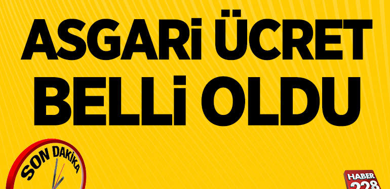 2023 yılı Temmuz ayı asgari ücret ara zammı belli oldu