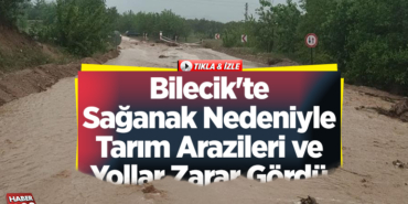 Bilecik'te sağanak nedeniyle tarım arazileri ve yollar zarar gördü