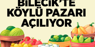 KOYLU