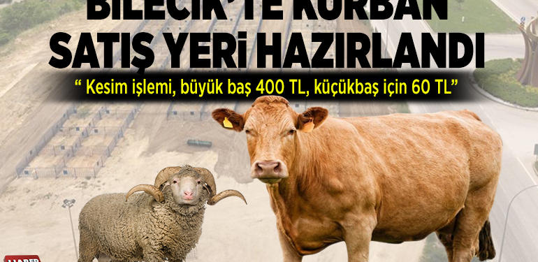 KURBAN SATIŞ YERİ HAZIRLANDI