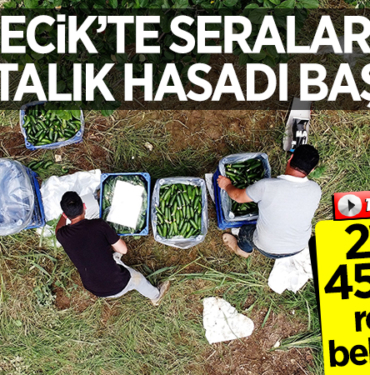 REKOLTE