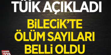 TÜİK