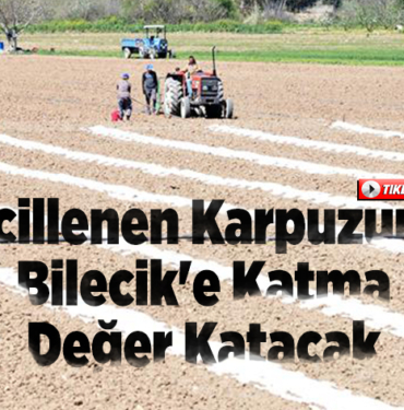 Tescillenen Karpuzumuz Bilecik'e Katma Değer Katacak