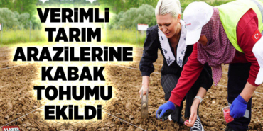 VERİMLİ TARIM ARAZİLERİNE KABAK TOHUMU EKİLDİ