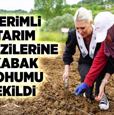VERİMLİ TARIM ARAZİLERİNE KABAK TOHUMU EKİLDİ