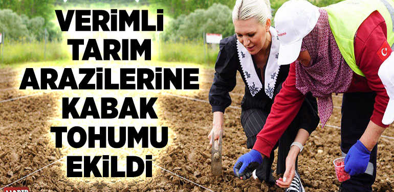 VERİMLİ TARIM ARAZİLERİNE KABAK TOHUMU EKİLDİ