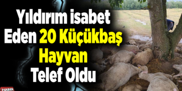 Yıldırım isabet eden sürüdeki 20 küçükbaş hayvan telef oldu