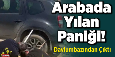 arabada yılan paniği