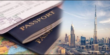 dubaivizesi