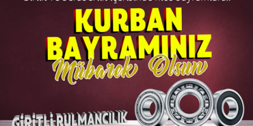 girilti rulmancılık