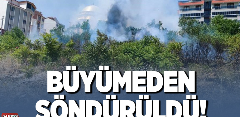 BÜYÜMEDEN SÖNDÜRÜLDÜ!