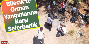 Bilecik'te orman yangınlarına karşı seferberlik