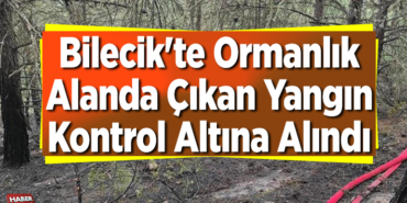 Bilecik'te ormanlık alanda çıkan yangın kontrol altına alındı