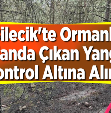 Bilecik'te ormanlık alanda çıkan yangın kontrol altına alındı
