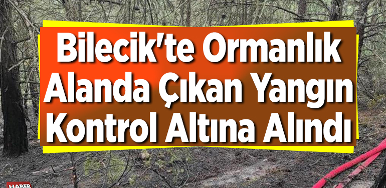 Bilecik’te ormanlık alanda çıkan yangın kontrol altına alındı