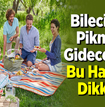 Bilecik'te pikniğe gidecekler bu habere dikkat