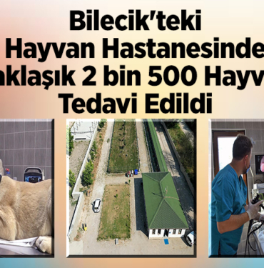 Bilecik'teki hayvan hastanesinde yaklaşık 2 bin 500 hayvan tedavi edildi