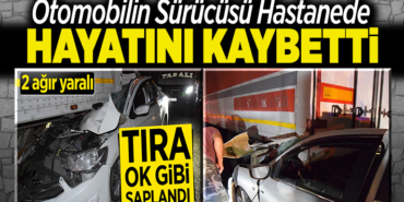 Hayatını Kaybetti