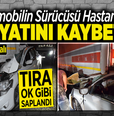Hayatını Kaybetti