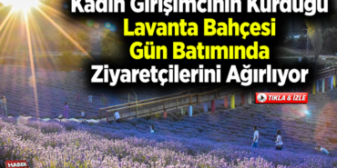 Kadın girişimcinin kurduğu lavanta bahçesi gün batımında ziyaretçilerini ağırlıyor