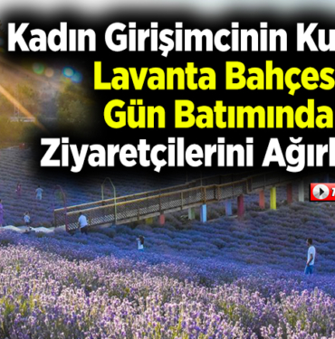 Kadın girişimcinin kurduğu lavanta bahçesi gün batımında ziyaretçilerini ağırlıyor