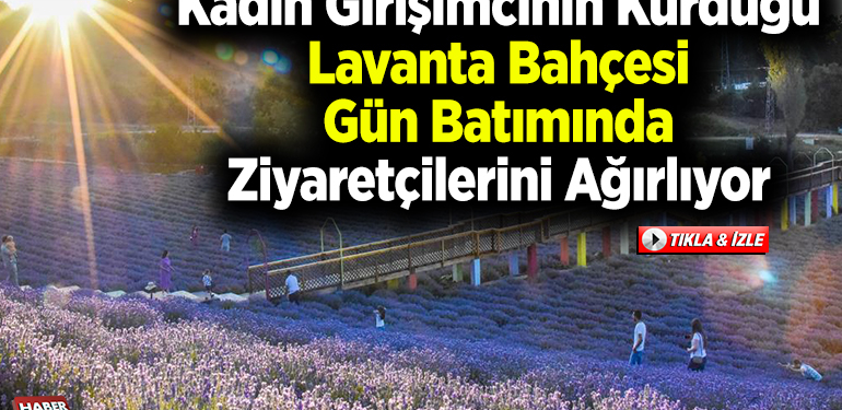 Kadın girişimcinin kurduğu lavanta bahçesi gün batımında ziyaretçilerini ağırlıyor