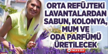 ORTA REFÜJTEKİ LAVANTALARDAN SABUN, KOLONYA, MUM VE ODA PARFÜMÜ ÜRETİLECEK