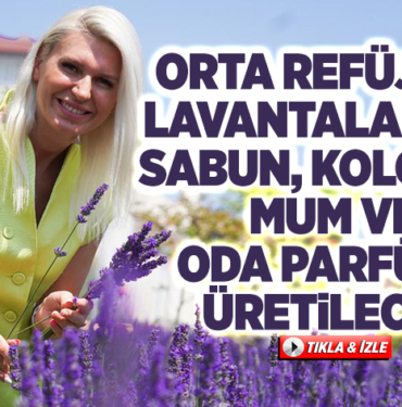 ORTA REFÜJTEKİ LAVANTALARDAN SABUN, KOLONYA, MUM VE ODA PARFÜMÜ ÜRETİLECEK