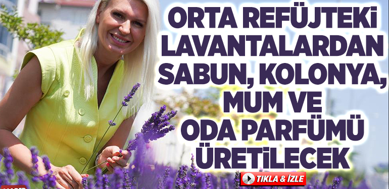 ORTA REFÜJTEKİ LAVANTALARDAN SABUN, KOLONYA, MUM VE ODA PARFÜMÜ ÜRETİLECEK