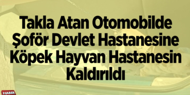 Takla Atan Otomobilde Şoför Devlet Hastanesine Köpek Hayvan Hastanesine Kaldırıldı