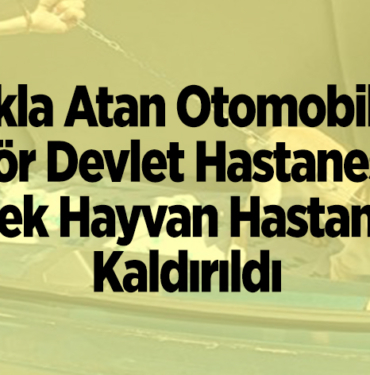 Takla Atan Otomobilde Şoför Devlet Hastanesine Köpek Hayvan Hastanesine Kaldırıldı