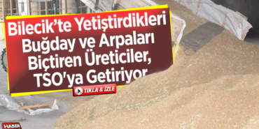 Yetiştirdikleri buğday ve arpaları biçtiren üreticiler, ürünlerini TSO'ya getiriyor.