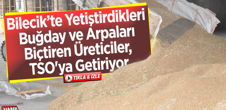 Yetiştirdikleri buğday ve arpaları biçtiren üreticiler, ürünlerini TSO’ya getiriyor.