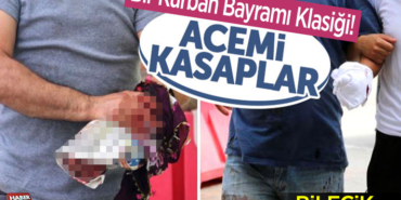 acemi kasaplar