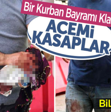 acemi kasaplar
