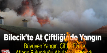 at çiftliğinde çıkan yangın söndürüldü