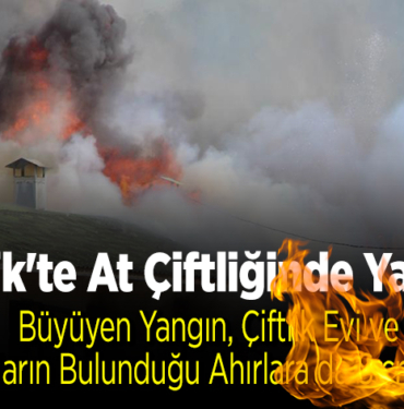 at çiftliğinde çıkan yangın söndürüldü