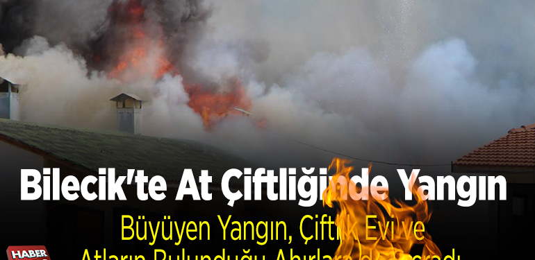 Bilecik’te at çiftliğinde çıkan yangın söndürüldü