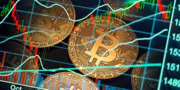 metachainlabs (4)