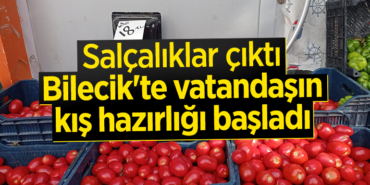 salcalık