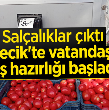 salcalık