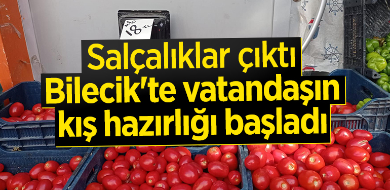Bilecik’te vatandaşın kış hazırlığı başladı